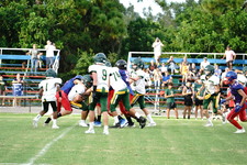 Enlarge photo 317