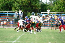 Enlarge photo 316