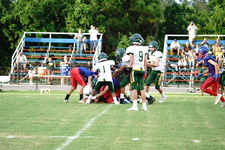 Enlarge photo 318
