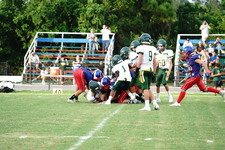Enlarge photo 319