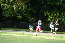 Enlarge photo 331