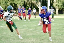 Enlarge photo 335
