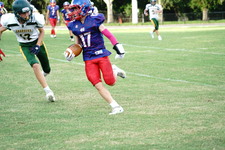 Enlarge photo 337