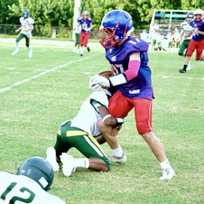 Enlarge photo 338