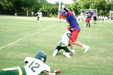 Enlarge photo 341