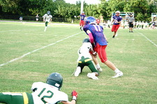 Enlarge photo 340