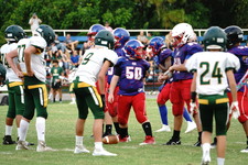 Enlarge photo 358