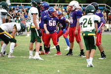 Enlarge photo 361