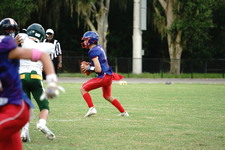 Enlarge photo 367