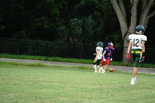 Enlarge photo 370