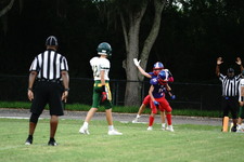 Enlarge photo 371