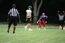 Enlarge photo 372