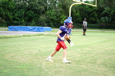 Enlarge photo 381