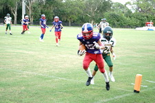 Enlarge photo 392