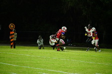 Enlarge photo 49