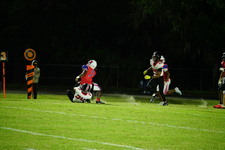 Enlarge photo 50