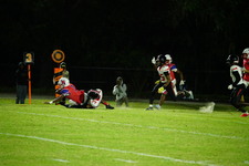 Enlarge photo 51