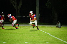 Enlarge photo 59