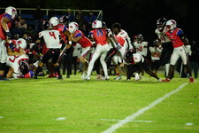 Enlarge photo 66