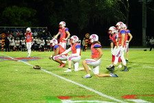 Enlarge photo 116