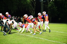 Enlarge photo 124