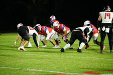 Enlarge photo 133