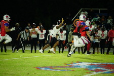 Enlarge photo 148
