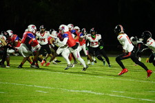 Enlarge photo 156