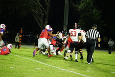 Enlarge photo 198