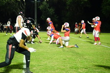 Enlarge photo 211