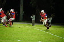 Enlarge photo 237