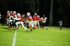 Enlarge photo 238
