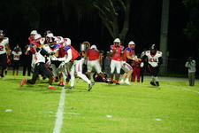 Enlarge photo 239