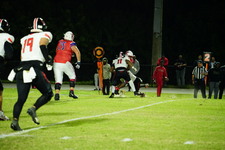 Enlarge photo 247