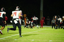 Enlarge photo 248