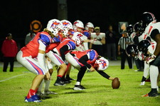 Enlarge photo 270