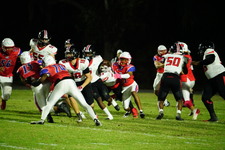 Enlarge photo 284