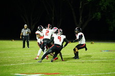 Enlarge photo 305