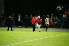 Enlarge photo 333