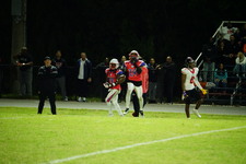 Enlarge photo 337