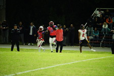 Enlarge photo 339