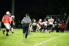 Enlarge photo 351