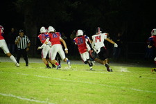 Enlarge photo 378