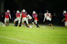 Enlarge photo 379
