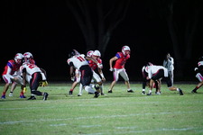 Enlarge photo 459