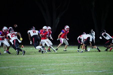 Enlarge photo 458