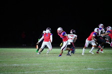 Enlarge photo 461