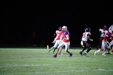 Enlarge photo 463