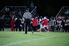 Enlarge photo 469