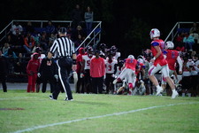 Enlarge photo 471